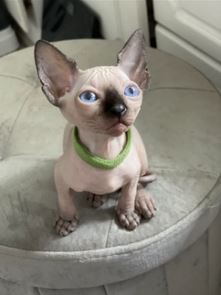CHARLIE